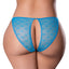 Back view of a plus size model wearing a sheer blue mesh thong with an open rear window down the middle. 