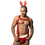 JSY Velvet Suspender & Briefs Men's Christmas Costume Set