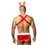 JSY Velvet Suspender & Briefs Men's Christmas Costume Set