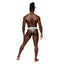 Male Power Sheer Prints Thong