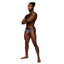 Male Power Sheer Prints Thong