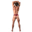 Back view of a male model wearing a pair of red lace thong panties with a high-cut rear design. 