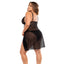 Back view of a curvy model wearing a sheer black net babydoll with a high-cut panty underneath. 