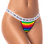 A model wears a rainbow thong with a white elastic waistband and THEY/THEM printed in black on the band.